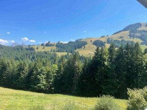 Superbe appartement 3.5 avec cheminée Gruyères